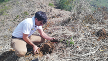 Cerro de La Campana cobra nueva vida con la siembra de 5.500 árboles