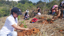 Cerro de La Campana cobra nueva vida con la siembra de 5.500 árboles