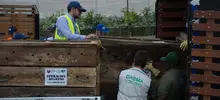 Dagma rehabilitó 60 animales silvestres que fueron liberados en la Costa Atlántica 