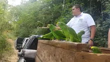 Dagma rehabilitó 60 animales silvestres que fueron liberados en la Costa Atlántica 