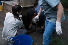 Dagma rehabilitó 60 animales silvestres que fueron liberados en la Costa Atlántica 