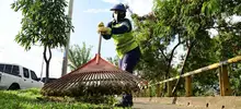 Cultura ciudadana y contro social son vitales para mantener la avenida Ciudad de Cali limpia