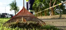 Cultura ciudadana y contro social son vitales para mantener la avenida Ciudad de Cali limpia