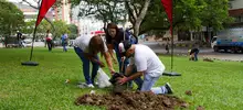 Siembra de 200 guayacanes 03