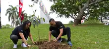 Siembra de 200 guayacanes 04