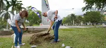Siembra de 200 guayacanes 05