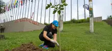 Siembra de 200 guayacanes 07