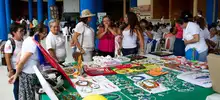 Artistas jarillon 04