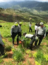 El Plan Ave Fénix se sigue fortaleciendo, este fin de semana 800 árboles fueron sembrados