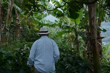 Umata entrega insumos en zona rural por más de 900 millones de pesos