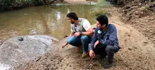 Autoridades ambientales trabajan conjuntamente en la liberación y reubicación de animales silvestres víctimas del tráfico ilega