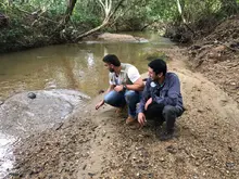 Autoridades ambientales trabajan conjuntamente en la liberación y reubicación de animales silvestres víctimas del tráfico ilegal