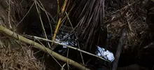 La quebrada Isabel Pérez fue sometida a profunda limpieza 7