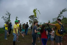 Exitosa jornada de siembra con el Plan Ave Fénix 4