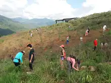 Cerro de Cristo Rey sigue reverdeciéndose de entre las cenizas