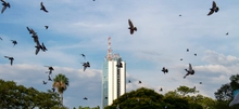 Foto6_Edificiop Torre de Cali