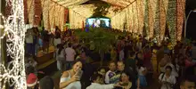 El festín del Buzicaro llegó al alumbrado de Cali