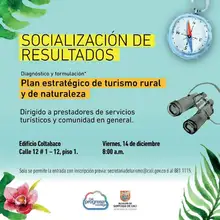 Socialización de Resultados
