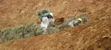 Ya se avanza en los trabajos de estabilización de los taludes en la ampliación de la vía a Pance