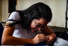 Cali, Ciudad del Aprendizaje