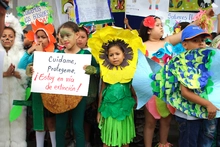 Carnaval Evaristiano