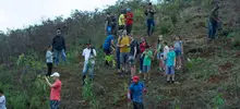 Con 5.980 árboles sembrados a través del Plan Ave Fénix, Cali está recuperando sus cerros tutelares