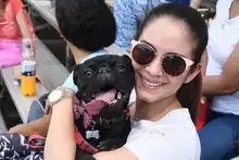 Perros y gatos también se gozan la Feria de Cali 3
