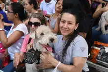 Perros y gatos también se gozan la Feria de Cali 4