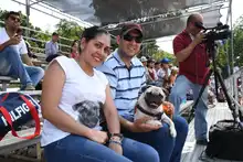 Perros y gatos también se gozan la Feria de Cali 9