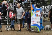 Perros y gatos también se gozan la Feria de Cali 16