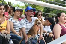 Perros y gatos también se gozan la Feria de Cali 17