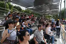 Perros y gatos también se gozan la Feria de Cali 20