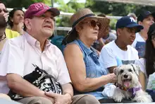 Perros y gatos también se gozan la Feria de Cali 21