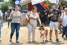 Perros y gatos también se gozan la Feria de Cali 23