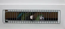 El Dagma reubicó 28 aves, luego de ser rehabilitadas en el hogar de paso