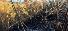 Gracias a su experiencia, bomberos de Cali apagaron incendio forestal en La Castilla 