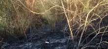 Gracias a su experiencia, bomberos de Cali apagaron incendio forestal en La Castilla 