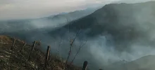 Gracias a su experiencia, bomberos de Cali apagaron incendio forestal en La Castilla 