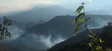 Gracias a su experiencia, bomberos de Cali apagaron incendio forestal en La Castilla 