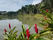 Alcaldía de Cali se unió a conmemoración del Día Mundial de los Humedales
