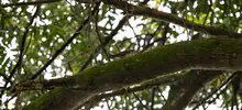 Alcaldía de Cali se unió a conmemoración del Día Mundial de los Humedales 3