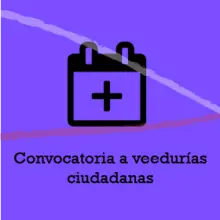 Convocatoria a veedurias ciudadanas