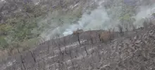 Bambi Bucket apoyó labor de bomberos en incendio de La Castilla 8