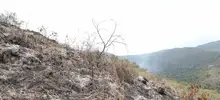 Bambi Bucket apoyó labor de bomberos en incendio de La Castilla 12
