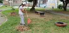 La Secretaría del Deporte y la Recreación comprometida con el embellecimiento de los parques 1
