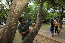 Regresó la Visitatón del Dagma a las Comunas de la ciudad 16