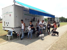 Centro de Zoonosis asignará 500 cupos para esterilización de caninos y felinos