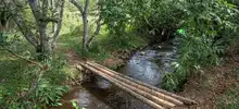 Dagma llevó educación ambiental al Ecoparque Río Pance