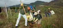 Alcaldía Municipal realiza siembras en zona rural para proteger el agua de Cali
