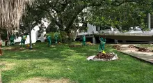 Caleños gozan hoy de espacios más limpios para su sano esparcimiento 